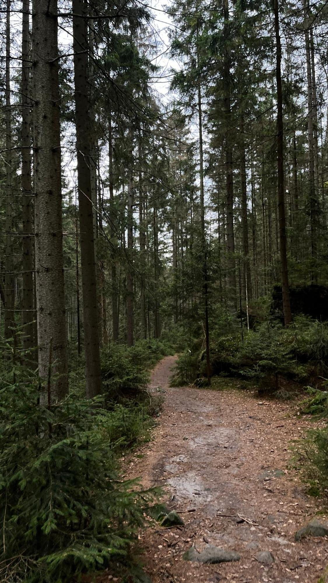 מלון Teplice nad Metují Feelmountains מראה חיצוני תמונה